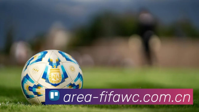 FIFA 官方数据授权认证
